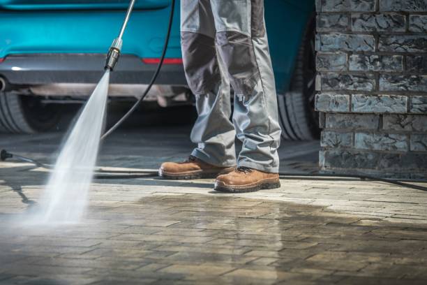 Best Soft Washing  in South River, NJ