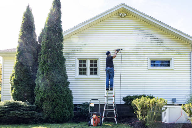 Best Driveway Pressure Washing  in South River, NJ